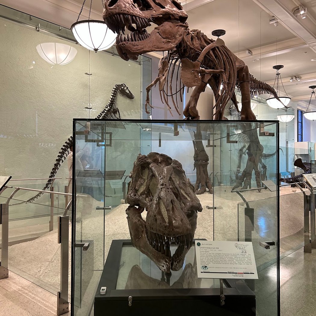Museo de Historia de la ciudad de NY 2